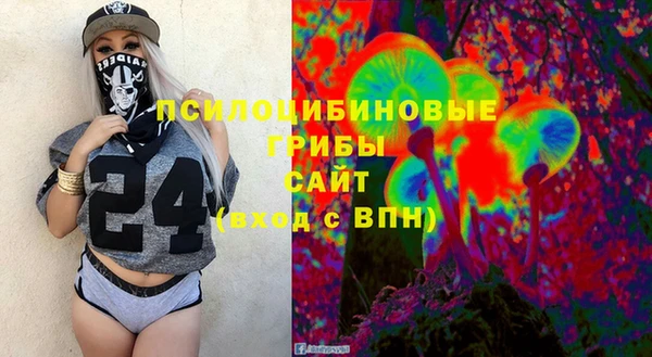 PSILOCYBIN Балабаново