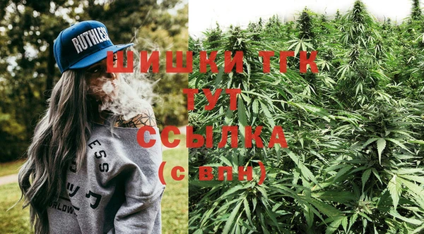 PSILOCYBIN Балабаново