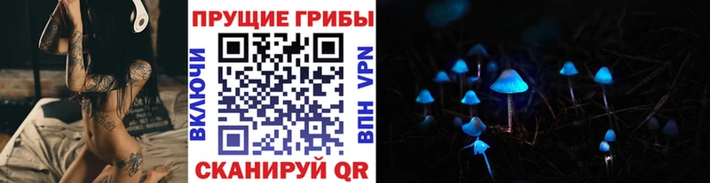 наркотики  Заводоуковск  Галлюциногенные грибы Psilocybine cubensis 